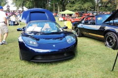 IMG_0978 (3)