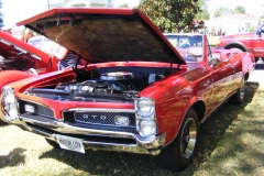 DSCF2537